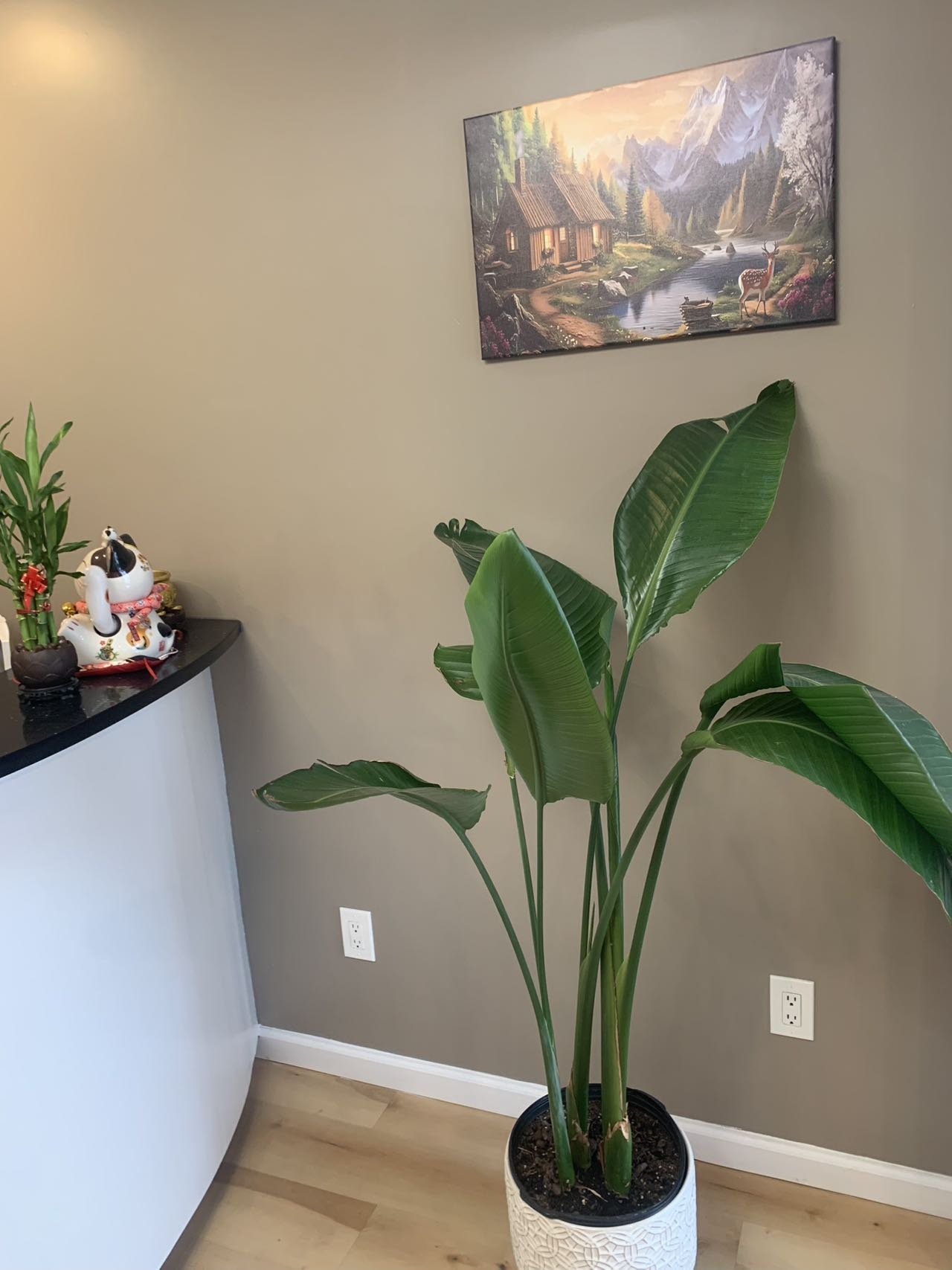 Balance Bodywork & Spa gallery image